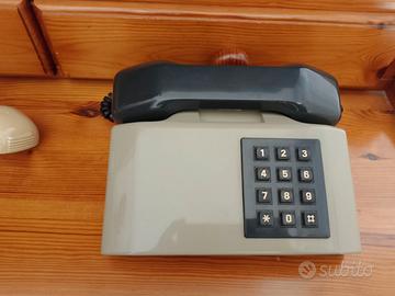 Telefono vintage e prolunga