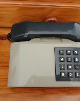 Telefono vintage e prolunga
