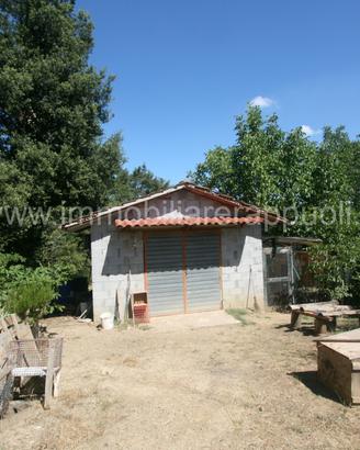 CA45 - Sinalunga capanno agricolo di mq 28