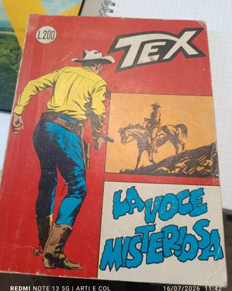 tex n.45
