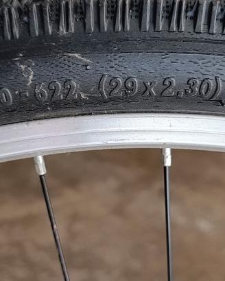 bicicletta MTB 