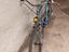 Immagine 4