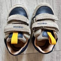 Scarpe da Geox