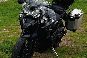 Triumph Tiger 800 xrx