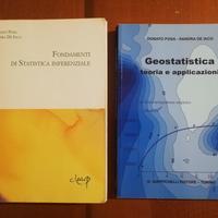 libri di statistica inferenziale e geostatistica
