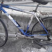 Bicicletta da città/stazione