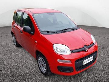 FIAT Panda III 2016 1.2 69cv Easy S&S my19