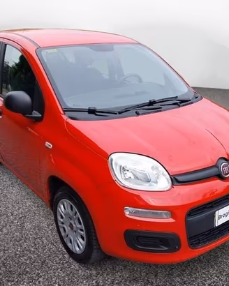 FIAT Panda III 2016 1.2 69cv Easy S&S my19