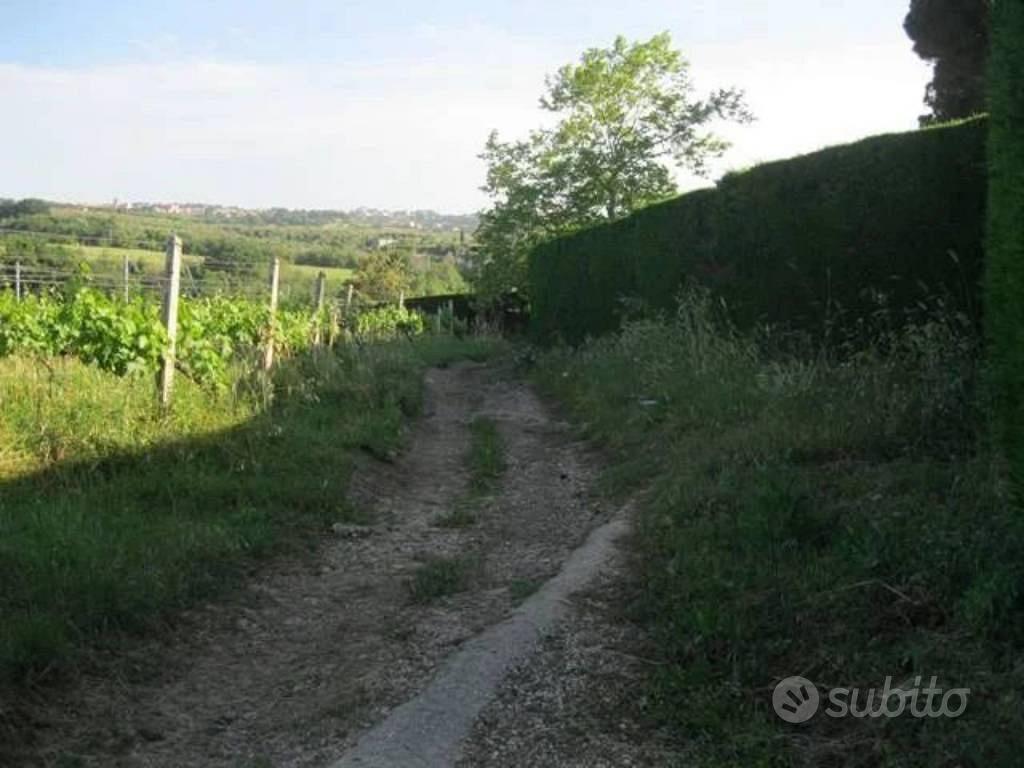 Immobile in asta di 151463 m² a Grottaferrata - Vista 3