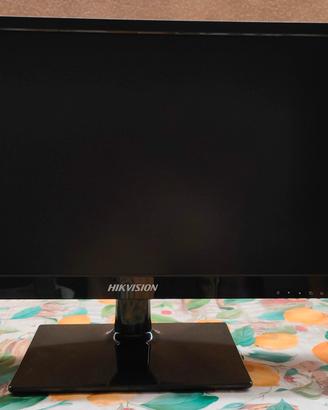 Monitor PC o Videosorveglianza