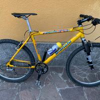 Mtb Bianchi da 26