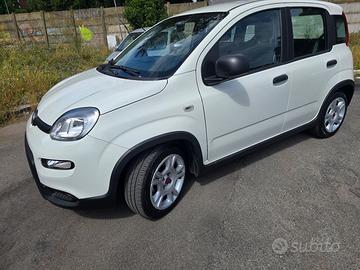 FIAT PANDA HIBR 2024