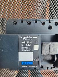 Interruttore Magnetotermico Schneider NG125N D125A