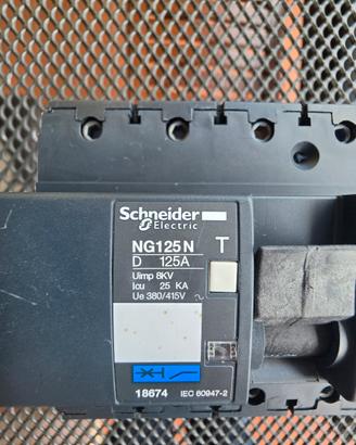 Interruttore Magnetotermico Schneider NG125N D125A