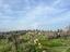 Immagine 26