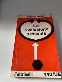 La rivoluzione sessuale