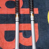 Cartucce Öhlins per WP Ktm_Husky_GasGas
