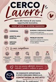 lavoro come commessa – esperienza 2 anni