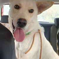 La storia triste di Lea