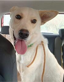 La storia triste di Lea