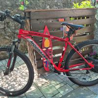 Mountain bike Monster 