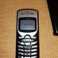 Cellulare Motorola C350