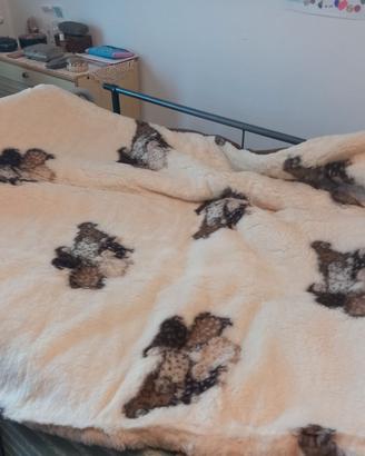 Coperta lana