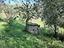 Immagine 10