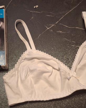reggiseno 