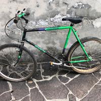 Mtb Bianchi Predator