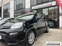 fiat-panda-1-0-firefly-hybrid-29-000-km