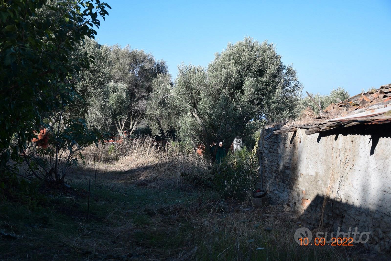 Fabbricati da ricostruire, senza vincoli - Vista 2