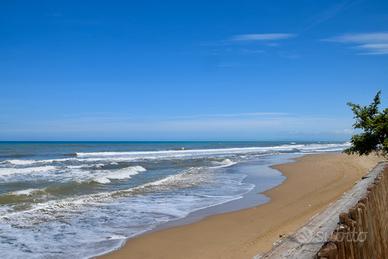 SAN VINCENZO 20 trilo con servizio spiaggia incl