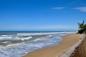 SAN VINCENZO 20 trilo con servizio spiaggia incl