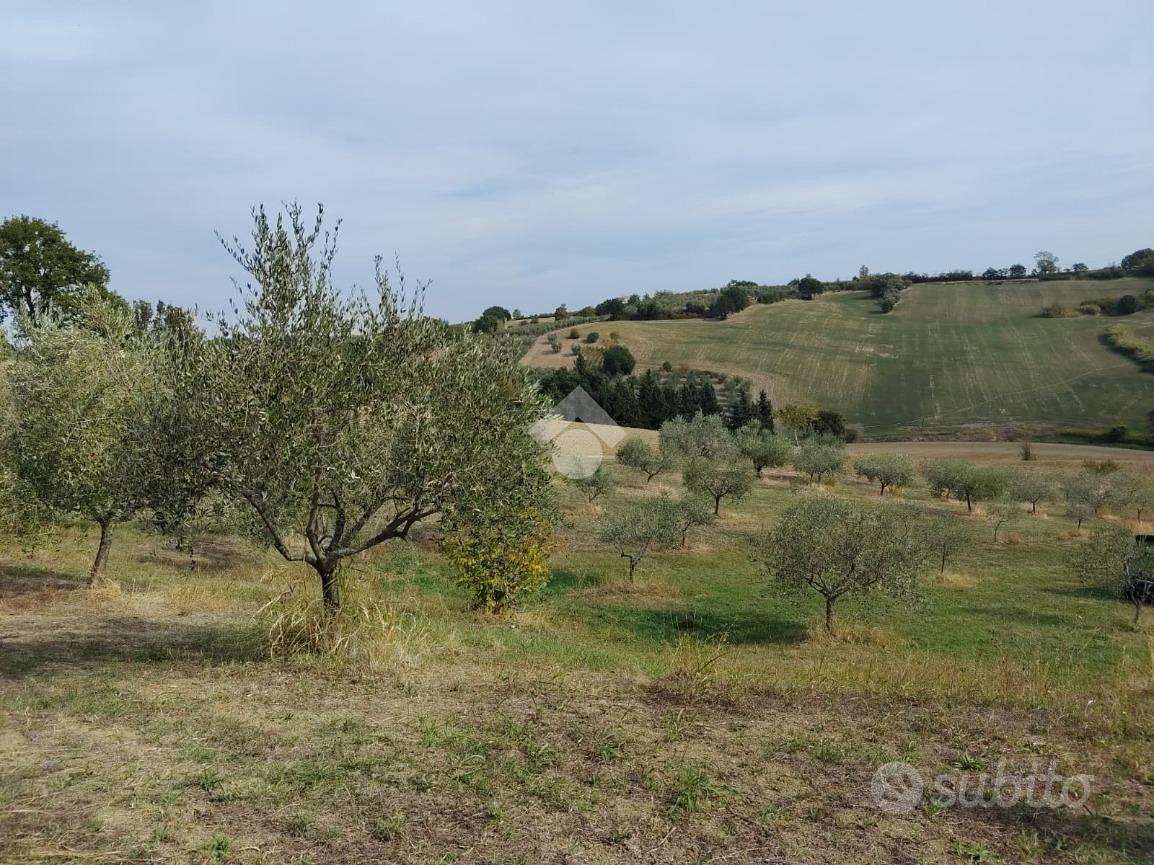 TER. AGRICOLO A VERUCCHIO - Altro