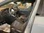 Immagine 14