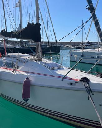 Barca a vela DELPHIA 24