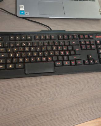 Tastiera Meccanica Steelseries APEX M800