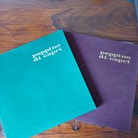 Vinili Peppino di Capri anni 70