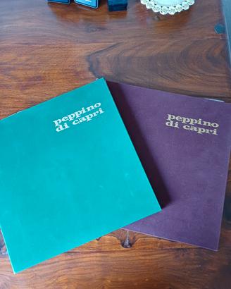 Vinili Peppino di Capri anni 70