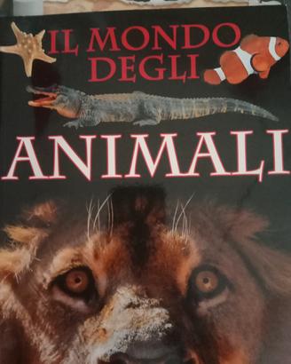 il mondo degli animali 
