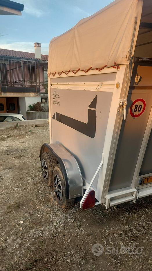 Telecamera per cani/gatti (+ lancia-crocchette) - Animali In vendita a  Milano