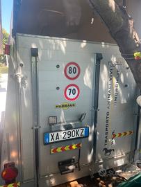 Trasporto cavalli