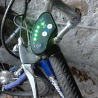 Triciclo elettrico adulti