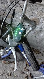 Triciclo elettrico adulti