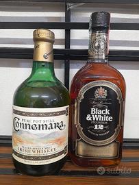 bottigle liquore