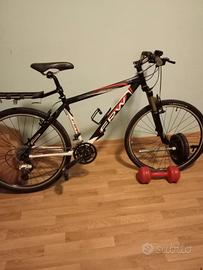 bicicletta