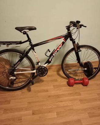 bicicletta