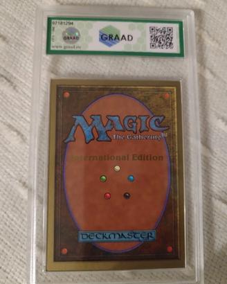 Magic the gathering mtg
