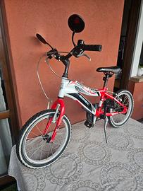 bicicletta bimbi 